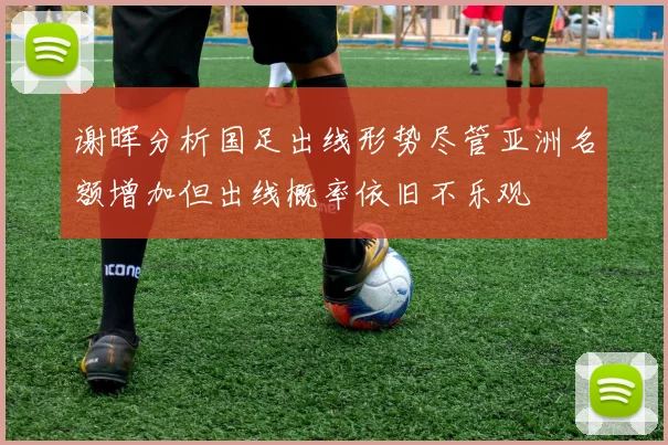 谢晖分析国足出线形势尽管亚洲名额增加但出线概率依旧不乐观