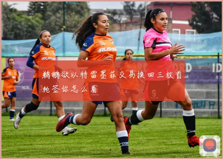 鹈鹕欲以特雷墨菲交易换回三枚首轮签你怎么看